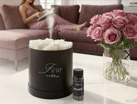 HotelCollection2026